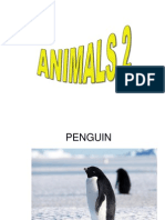 Animals 2