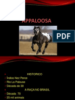 A Paloosa