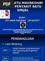 Download Diet Batu Magnesium Pada Penyakit Ginjal by cymut SN16333894 doc pdf