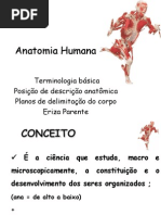 ANATOMIA- Conceitos e Terminologia