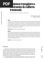 Feminismo transgênero
