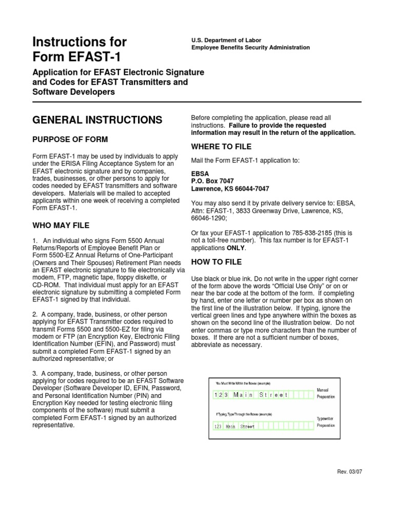 EFAST-1 Application Instructions | PDF | Finance & Money Management