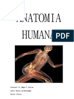 Anatomia Humana Parte 1