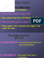 The Animal Kingdom: General Characteristics