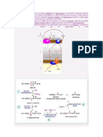 Beta Oxidacion