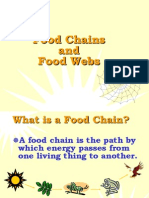 foodchainsandwebs-090806215858-phpapp01