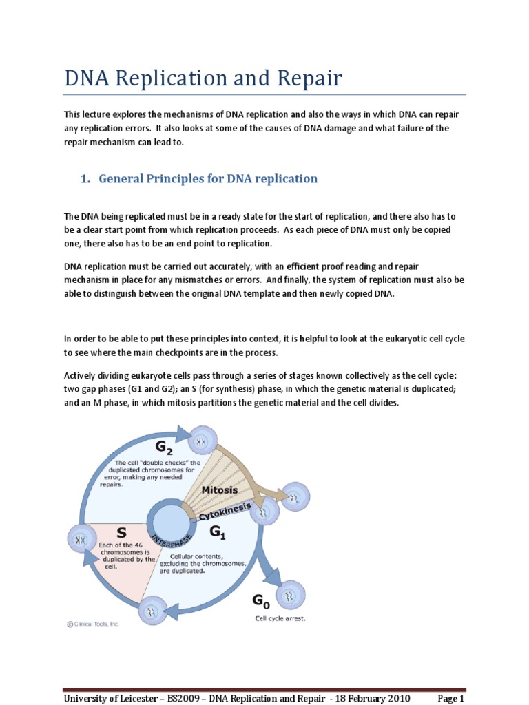 DNA Replication and Repair Mechanisms | PDF | Dna Repair | Dna Replication