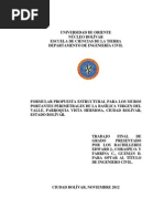 FORMATO MODELO EJEMPLO DE RESUMEN CURRICULAR PARA RELLENARLO