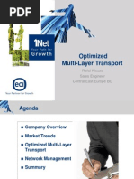 OMLT Architecture Usage-Optimize Multi Layer Transport-To Build New Generation Transport Networks NGN Robert Ksiazek