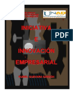 Iniciativa Empresarial