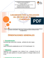 Lineamientos para La Realización Del Proyecto Del Servicio