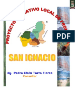 Pelfsi San Ignacio