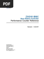 SJ-20100524164252-015-ZXG10 iBSC (V6.20.61) Performance Counter Reference