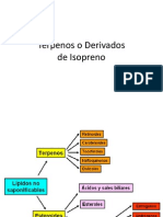 Terpenos Final