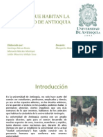 Animales Que Habitan La Universidad de Antioquia