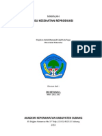 Download Makalah Isu Kesehatan Reproduksi by SOPANDI SN163641089 doc pdf