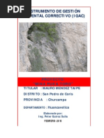 IGAC-MINA-PUKA-TORO-mauro-mendez.pdf