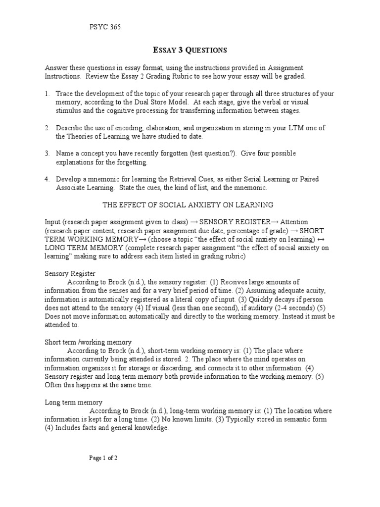 Memory snapshot essay examples picture