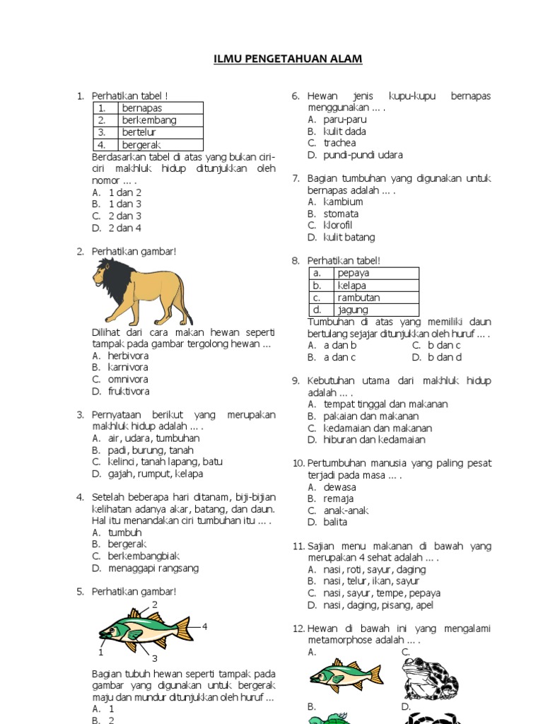 30+ Contoh bahan ajar ipa kelas 3 sd ideas