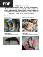 Download Udang by InkillerzCayokscayokz ArtsDesignz SN163682180 doc pdf