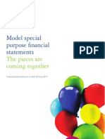 AU 30 June 2013 Model Special Purpose Financial Statements