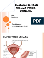 Penatalaksanaan Trauma Vesika Urinaria