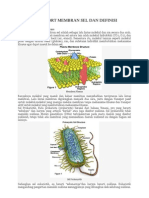 Transport Membran Sel Dan Definisi