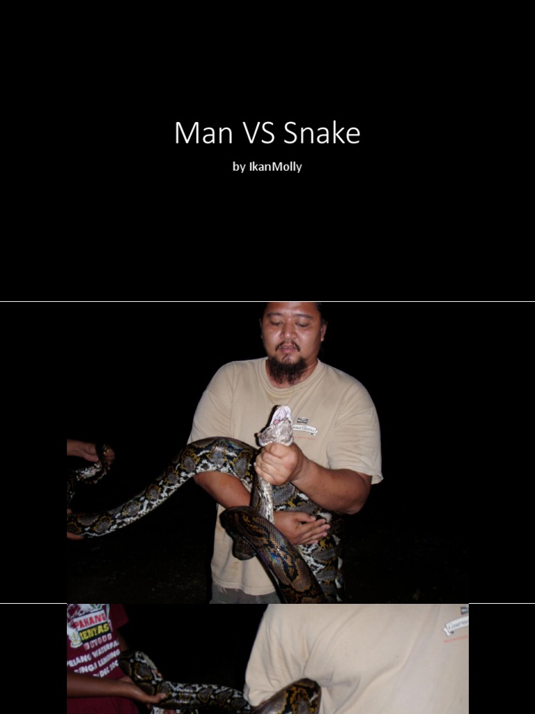 How To Catch Python | PDF