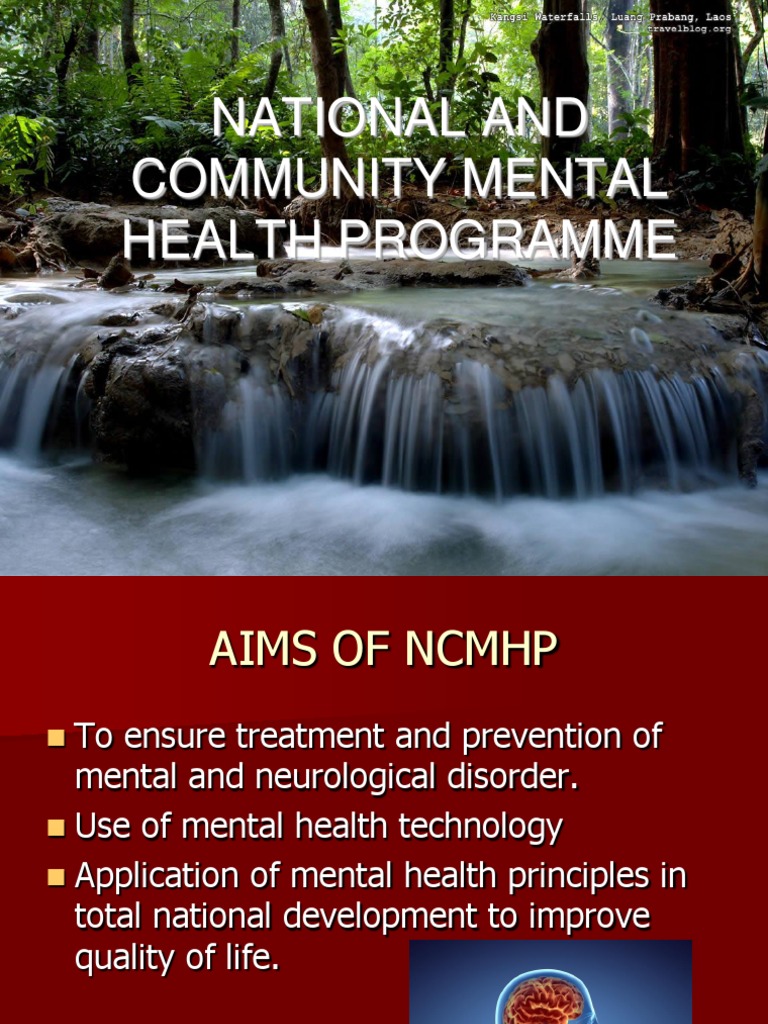 Community Mental Health Program Overview | PDF | Mental Health ...