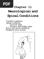 Download Simple Guide Orthopadics Chapter 11 Neurological and Spinal Conditions by Surgicalgown SN16375635 doc pdf