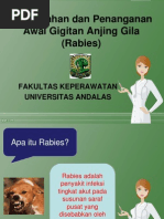 Download Ppt Rabies by Resty Maiwan Dhira SN163756544 doc pdf