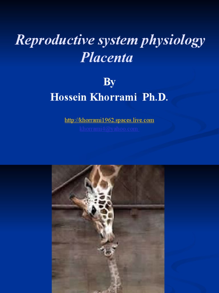 Placenta and Reproductive Hormones Overview | PDF | Angiology ...