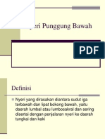 Css Nyeri Punggung Bawah Basic Science