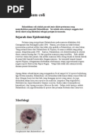 Download Balantidium coli by Muhammad Ikhsan SN16378822 doc pdf