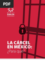 La cárcel en México ¿Para qué?