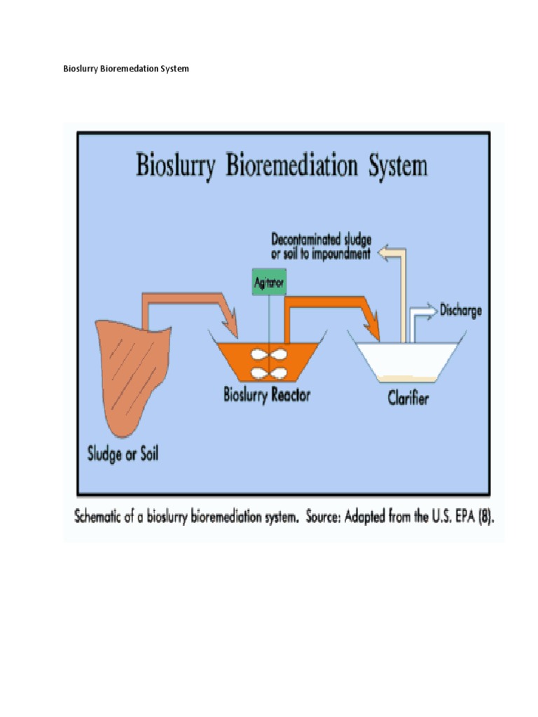 Bioslurry Bioremediation Guide | PDF