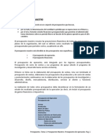 Tema 2 Presupuesto de Operaciones