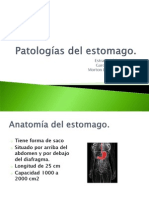 Patologias Del Estomago PDF