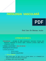 Curs 2 - Patologia Vasculara