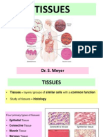 Tissues Lect Apd