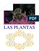 Las Plantas1