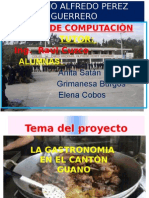 Proyecto Anita