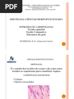 1 -AULA INTRODUÇÃO À HISTOLOGIA [Modo de Compatibilidade]