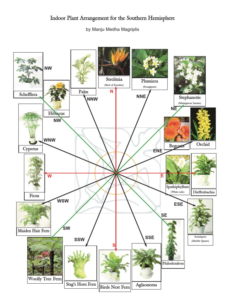 Vastu Shastra for Indoor Plants | PDF