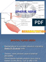 Peripheral Nerve-blok Neuromuscular