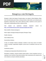 Emagrece com Beringela.pdf