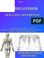 4.2 Miembro Superior Musculos y Movimientos