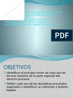 gonzÃ¡lez alonso carlos alberto DERECHO PROCESAL PARTE ESPECIAL