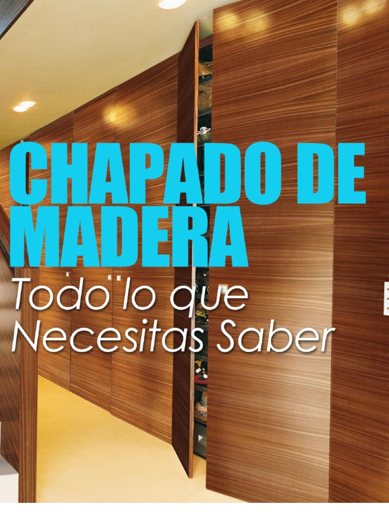 Coloración de la chapa de madera en profundidad: fundamentos técnicos y de  aplicación