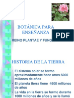 Origen y Morfologia Plantas